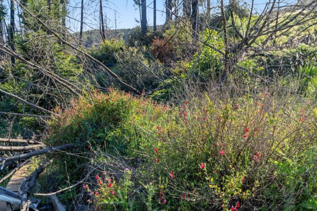 1410 Pinecrest Drive, Boulder Creek CA: https://media.crmls.org/mediaz/48b558c2-3f6b-461e-a695-05fee9462d65.jpg
