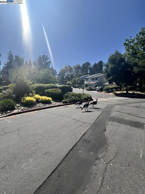 2418 Twinflower Ct, Martinez CA: https://media.crmls.org/mediaz/48c2924a-abf0-44de-a0d4-779829abf7d2.jpg