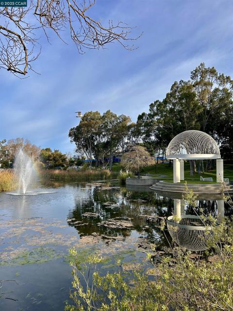 2036 Serra Ln, Hercules CA: https://media.crmls.org/mediaz/48c2bff5-5e70-4688-8746-ece06c87931e.jpg