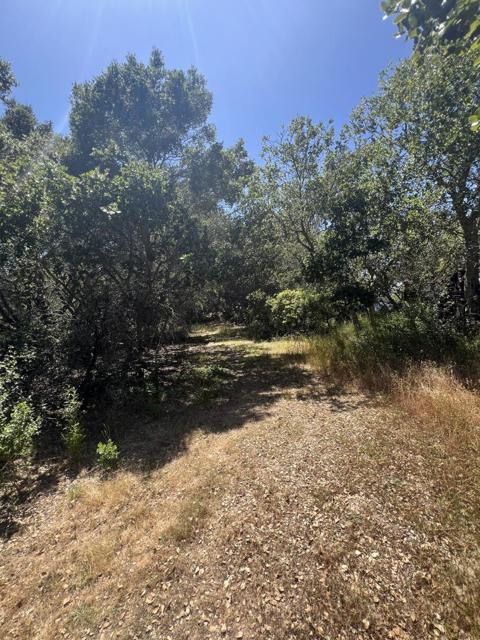 17160 Wilson Way, Royal Oaks CA: https://media.crmls.org/mediaz/48c8b0e3-a398-4215-9d4e-6ccdf9605f4e.jpg