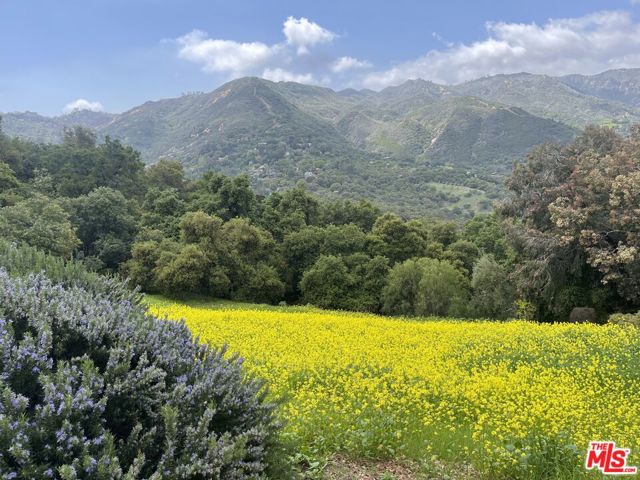 1 Colina Drive, Topanga CA: https://media.crmls.org/mediaz/48c9d25d-ae82-4023-91dc-932bacb2d4c8.jpg