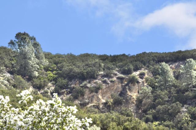 60501 Lockwood San Lucas Road, King City CA: https://media.crmls.org/mediaz/48ce46ee-aa84-492f-87dd-637b0de63ef7.jpg