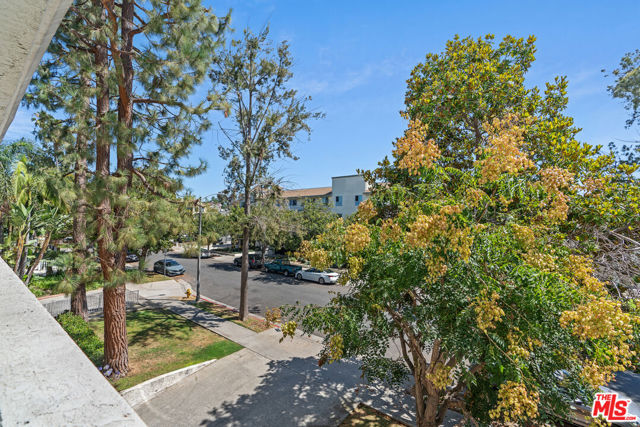 3743 S Canfield Avenue, Los Angeles CA: https://media.crmls.org/mediaz/48d5a650-dee5-47eb-bfb4-6c5a24311850.jpg