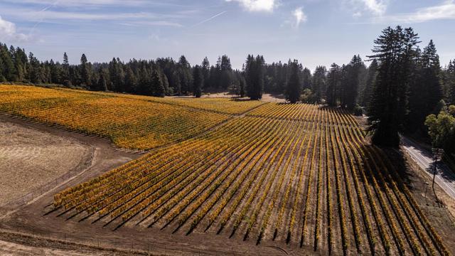 420 Bonnie Brae Road & 3980 Bonny Doon Road, Santa Cruz CA: https://media.crmls.org/mediaz/48dadb57-d7d2-40a1-b692-9626ac746cb5.jpg