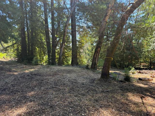 0 Debbie, Los Gatos CA: https://media.crmls.org/mediaz/48de4301-7467-4cc0-8642-7ba005dd63df.jpg