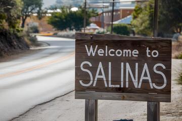 75 S Madeira Avenue, Salinas CA: https://media.crmls.org/mediaz/48e0f45e-81d9-45e3-b13d-483be8bac62e.jpg