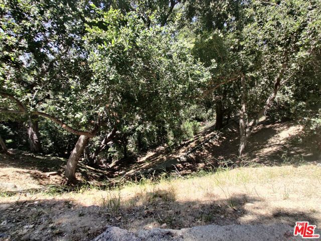 0 Bayberry Drive, Glendale CA: https://media.crmls.org/mediaz/48ef385b-cbe3-49ce-bb48-62208937884b.jpg