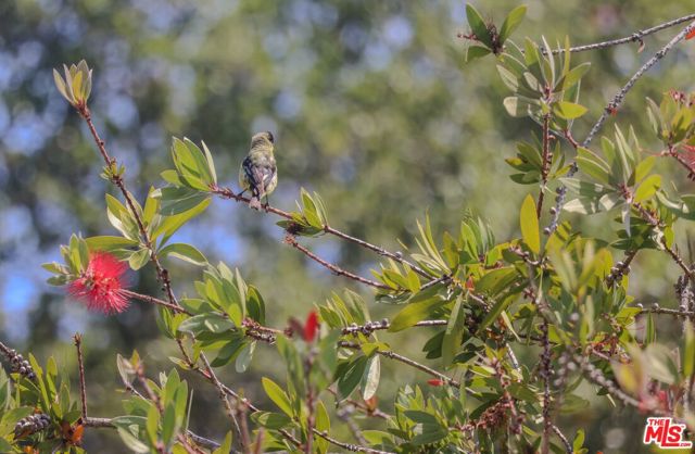 520 Barker Pass Road, Santa Barbara CA: https://media.crmls.org/mediaz/490e2844-4546-4f46-9058-7322b10c1e32.jpg