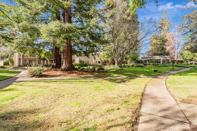 50 Horgan Avenue, Redwood City CA: https://media.crmls.org/mediaz/490eb1e0-59af-4345-abdb-669c2c2d9179.jpg