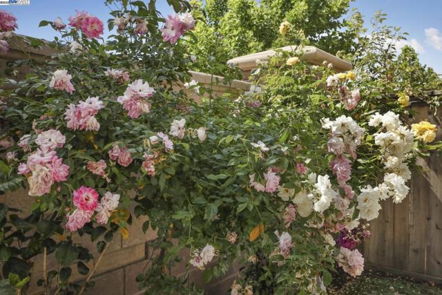 1503 S Oliveira Dr, Mountain House CA: https://media.crmls.org/mediaz/4915e1a4-7735-4f02-a467-d923b52b4487.jpg