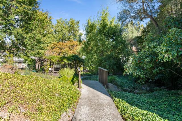 8239 Shelter Creek Lane, San Bruno CA: https://media.crmls.org/mediaz/491c0a6d-5b2e-478e-a465-047f10289b4e.jpg