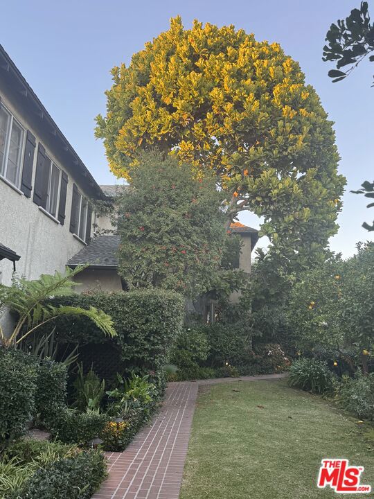 7917 Norton Avenue, West Hollywood CA: https://media.crmls.org/mediaz/49259c34-e448-4bf5-a37a-ec7c021450a4.jpg