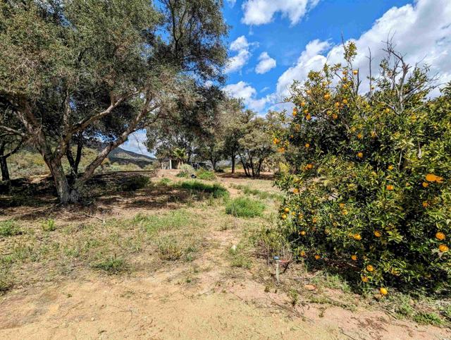 41822 De Luz, Fallbrook, California 92028, ,Residential Land,For Sale,De Luz,NDP2405719