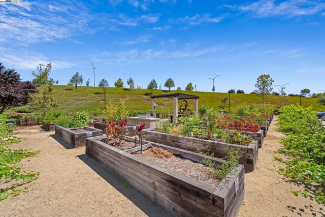 389 Basswood Cmn, Livermore CA: https://media.crmls.org/mediaz/493dfeff-b738-4404-964d-cc4c8bdae0ed.jpg