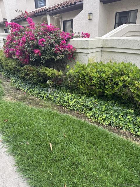 4130 Porte de Palmas, San Diego CA: https://media.crmls.org/mediaz/4940c57d-0e98-459b-9d01-d363128b49fd.jpg