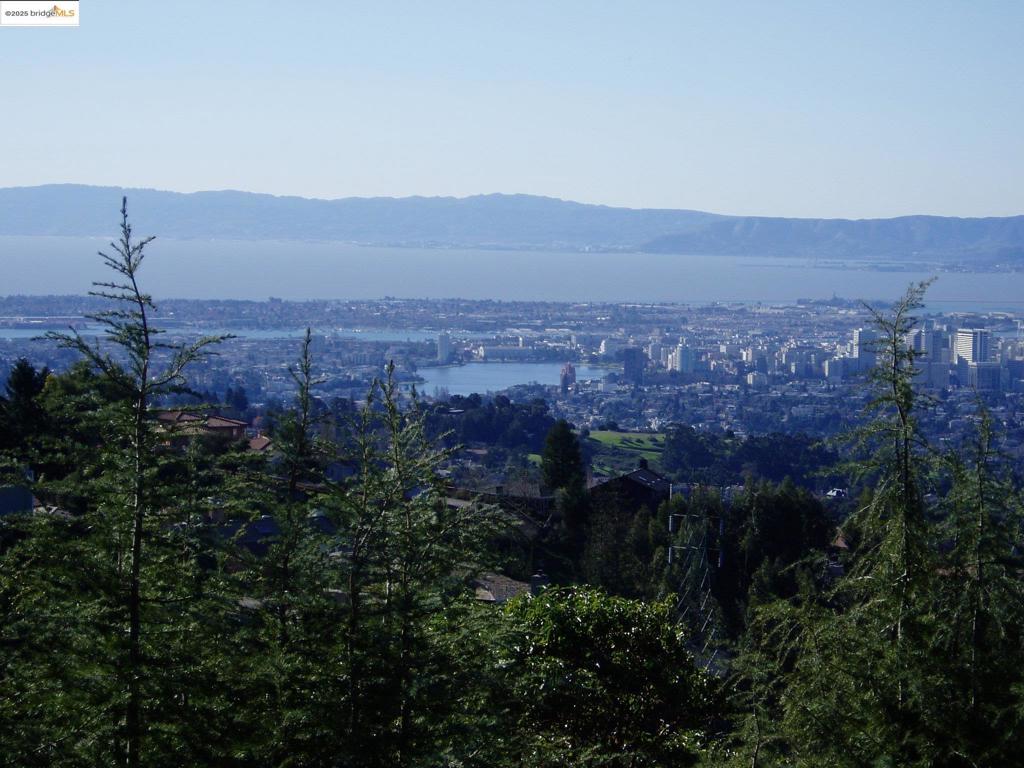 MLS #41096624 image #4