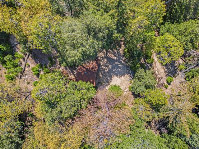Detail Gallery Image 13 of 30 For 14 +/- Acres Palomar Divide Truck Trl, Palomar Mountain,  CA 92060 - – Beds | – Baths