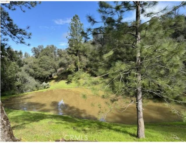 16551 Wards Ferry Rd, Sonora CA: https://media.crmls.org/mediaz/494c9463-7f4d-420a-984f-b804a68e01cd.jpg