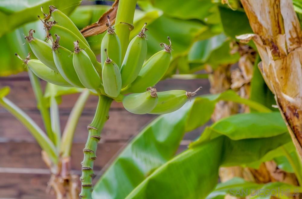 MLS #250036039SD img 54