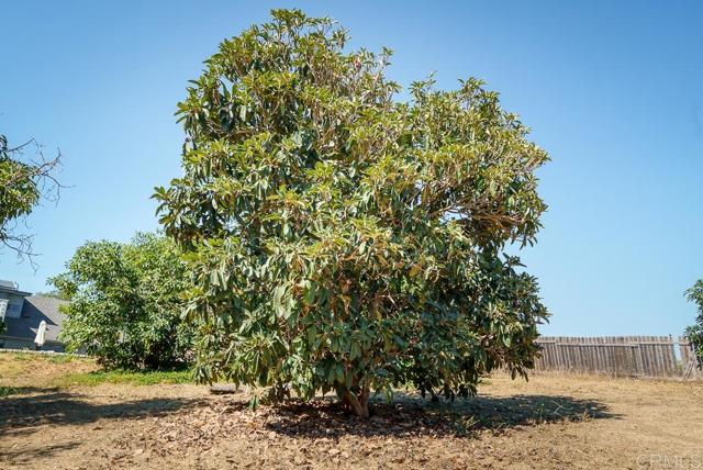 1139 Big Oak Ranch Rd., Fallbrook CA: https://media.crmls.org/mediaz/4958476b-e810-44a5-93a9-e5e11324b750.jpg