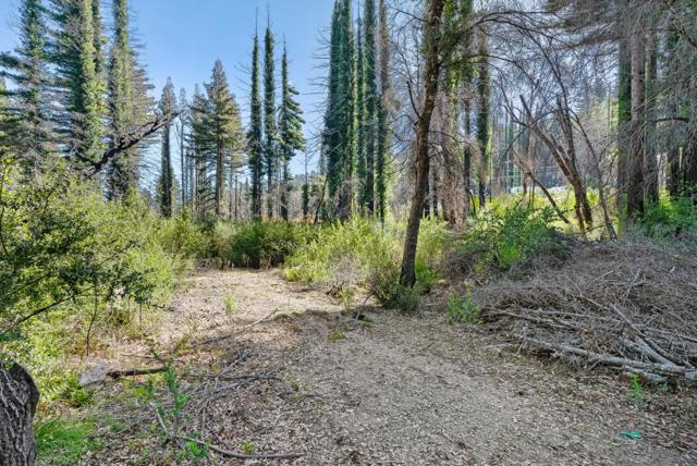 15995 Big Basin Way, Boulder Creek CA: https://media.crmls.org/mediaz/496702c4-d142-42b8-8829-8208766c8582.jpg