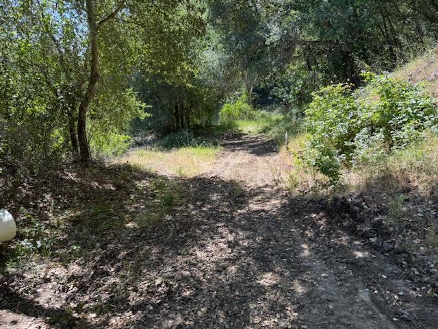 14056 Uvas Road, Morgan Hill CA: https://media.crmls.org/mediaz/49865bec-d2a3-4af9-9f3c-b2534d7dfe7a.jpg