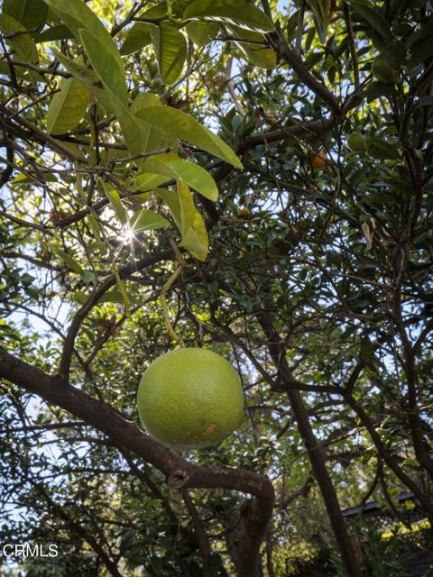 Image 25 of 29 For 1520 Carroll Drive