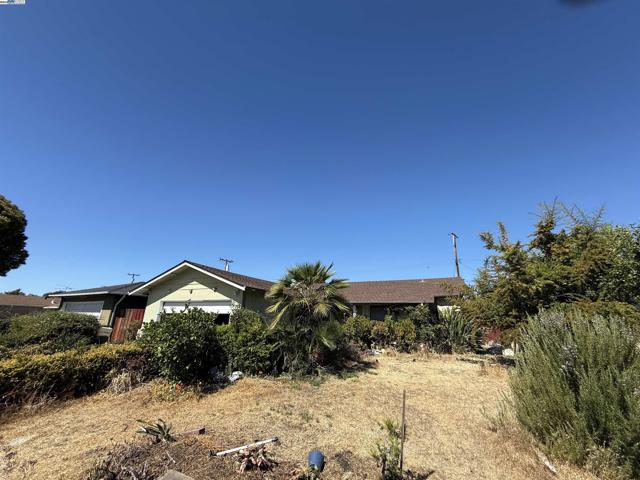 817 Baird Ave, Santa Clara CA: https://media.crmls.org/mediaz/49900f99-af34-4d05-803f-5882c2ae8e6d.jpg