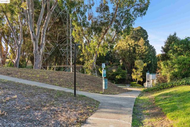 3732 Northridge Dr, Richmond CA: https://media.crmls.org/mediaz/4990c234-8a37-42b8-a6b4-4b72763efd78.jpg