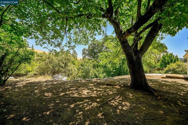 3352 Betty Ln, Lafayette CA: https://media.crmls.org/mediaz/4995062d-d0df-44d5-8fa9-5eac550785c4.jpg