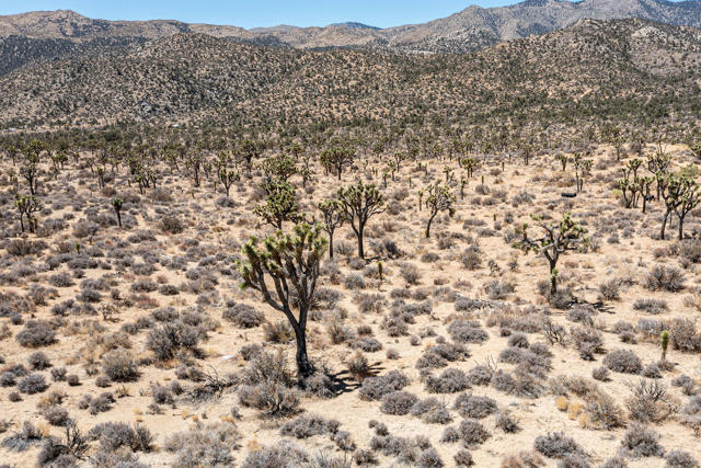112 Angel View Road, Pioneertown CA: https://media.crmls.org/mediaz/49959c4a-0d1e-4e90-9926-f56fdce27b41.jpg