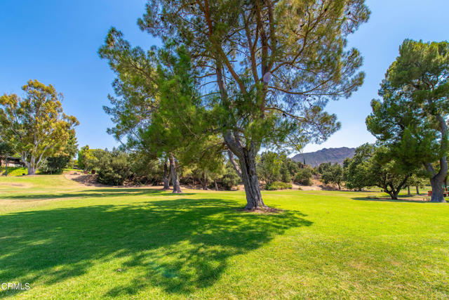 Detail Gallery Image 42 of 48 For 28763 Conejo View Dr, Agoura Hills,  CA 91301 - 3 Beds | 1/1 Baths
