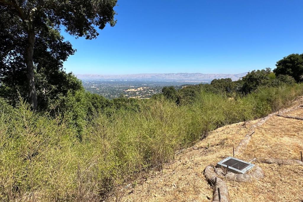 MLS #ML81991145 image #27