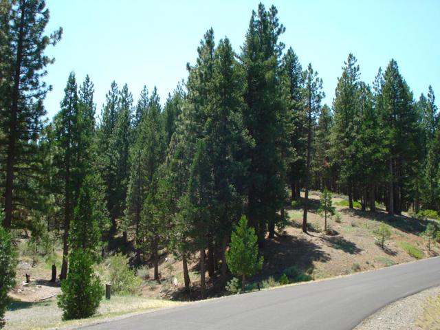 976 Moon Shadow, Portola CA: https://media.crmls.org/mediaz/49aa4369-d028-4ed7-a0ef-cca87b322981.jpg