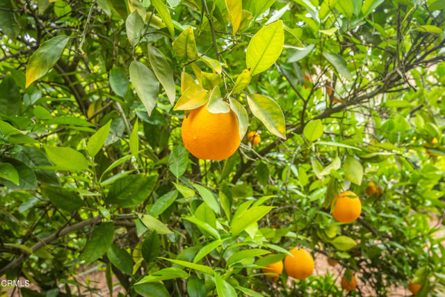 1400 Park Drive, Ojai CA: https://media.crmls.org/mediaz/49ac9628-5eb0-4484-aea9-e03b02425095.jpg