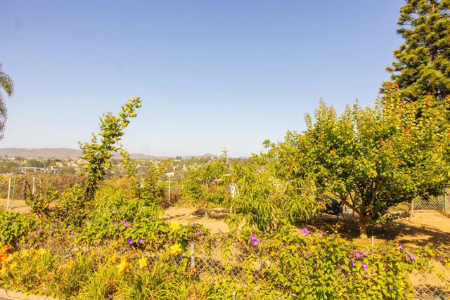 444 N El Camino Real, Encinitas CA: https://media.crmls.org/mediaz/49b6483f-4965-422e-9003-5e040ab6ce53.jpg