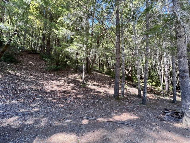 24858 Clover Road, Willits CA: https://media.crmls.org/mediaz/49bd323b-7835-41dd-bbea-47cdf278aca0.jpg