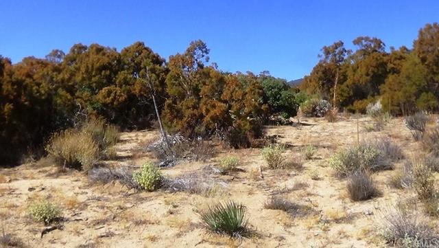 Detail Gallery Image 11 of 41 For 37245 Old Forest Rd, Anza,  CA 92539 - – Beds | – Baths