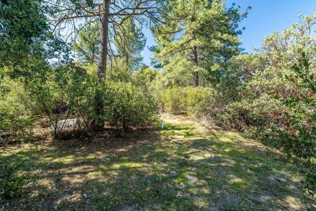 lot 5