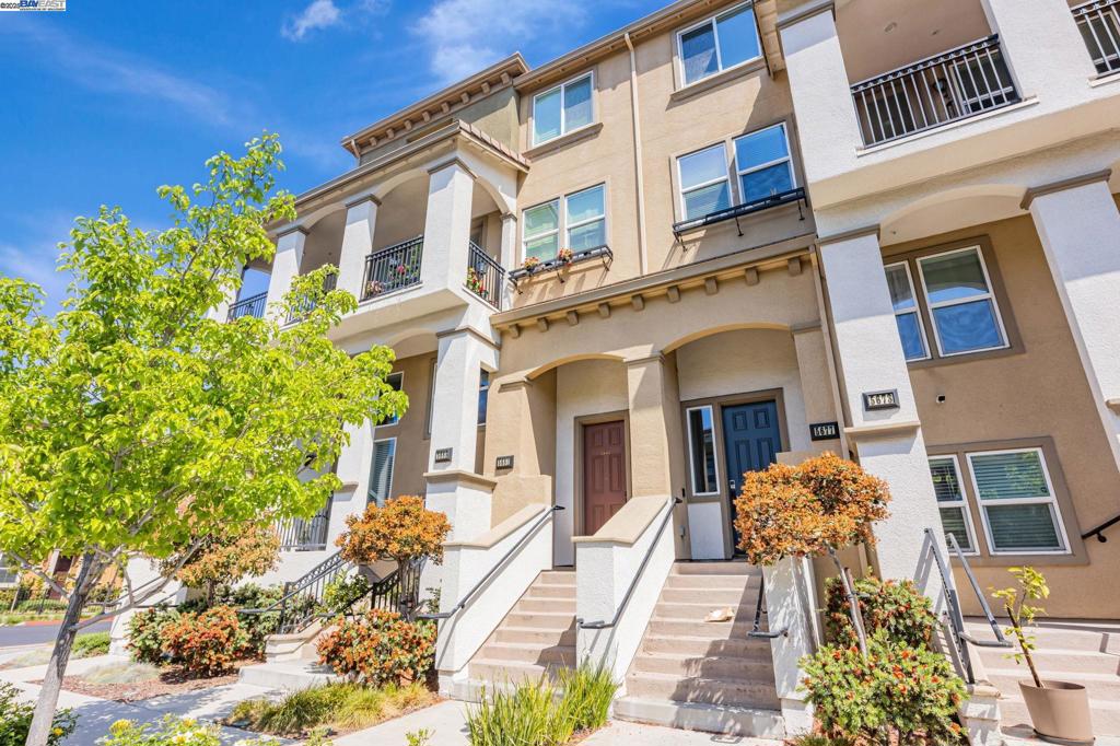 5681 Pandorea Terrace