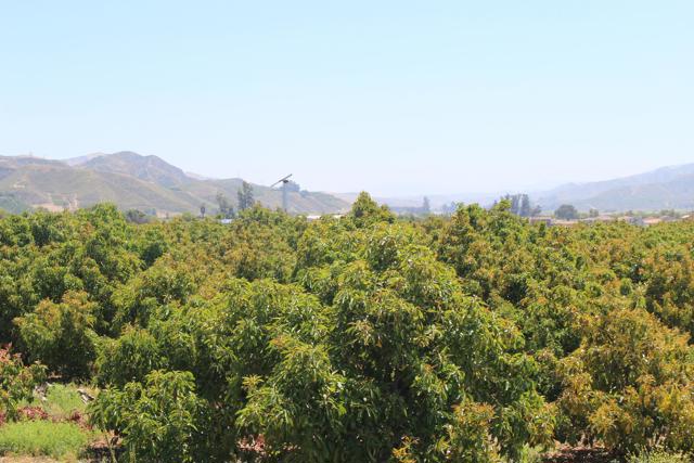 Detail Gallery Image 17 of 33 For 0 Camulos St, Piru,  CA 93040 - – Beds | – Baths