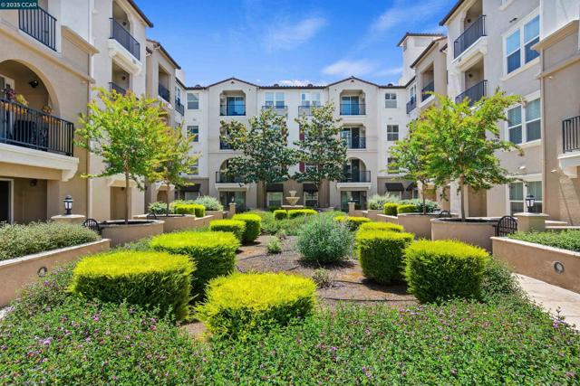3240 Maguire Way, Dublin CA: https://media.crmls.org/mediaz/49d26083-ef21-4951-9288-3b1e36040878.jpg