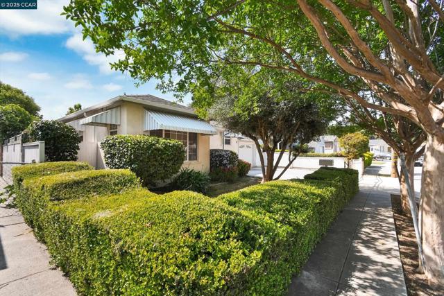 973 Paradise Blvd, Hayward CA: https://media.crmls.org/mediaz/49d27216-c66b-4e92-a225-6142131021b0.jpg