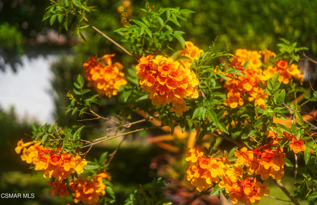 https://media.crmls.org/mediaz/49e12391-402e-415e-8e9d-db8f66094e9a.jpg?preset=X-Large