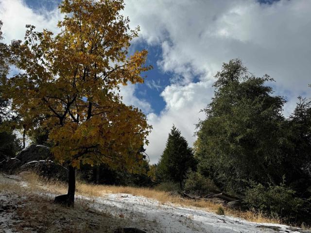 Detail Gallery Image 47 of 47 For 10 Acres Greenfield Way, Palomar Mountain,  CA 92060 - – Beds | – Baths