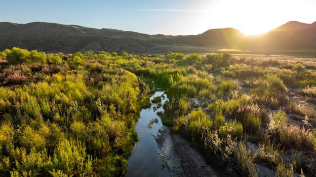 54800 Lonoak Road, King City CA: https://media.crmls.org/mediaz/49e2af05-5fc8-4c5b-9054-eef47a0beb94.jpg