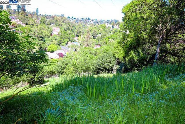 828 Everett Ave, Oakland CA: https://media.crmls.org/mediaz/49e45d9d-1fe5-4db9-9e23-3272184aea95.jpg