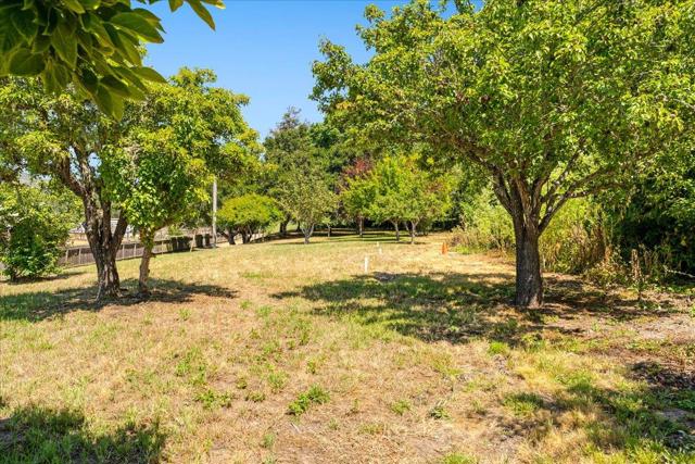 28120 Schulte Road, Carmel CA: https://media.crmls.org/mediaz/49e708ed-0f8d-40ac-9cb0-d2bda363305b.jpg