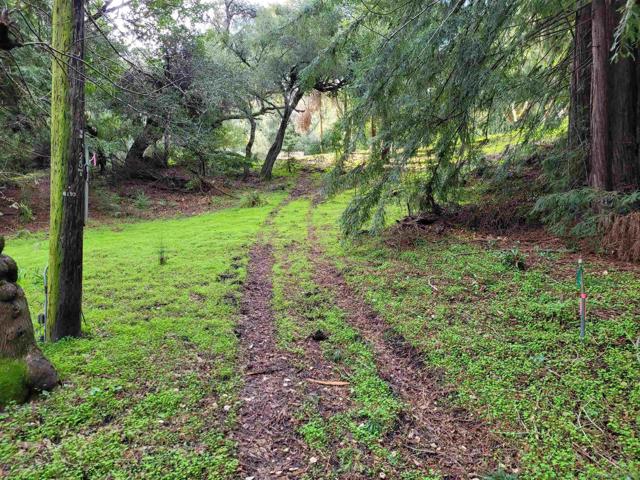 16885 Laurel Road, Los Gatos CA: https://media.crmls.org/mediaz/49f00ddc-8538-447e-89c4-178e61f0b06d.jpg