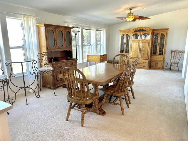 36748 Parrot Mountain Road, Ranchita CA: https://media.crmls.org/mediaz/49f1bd15-5bf2-4d76-ba34-f1567635efac.jpg